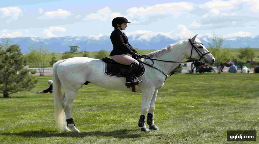 美嘉体育平台赛事回放，精彩永不落幕！⏯️📽️